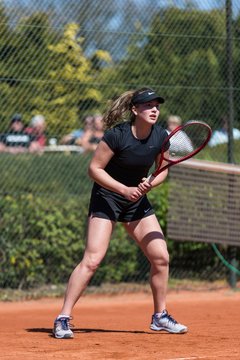 Bild 49 - Witthoeft Cup